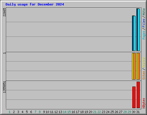 Daily usage for December 2024