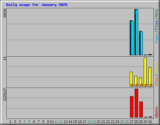 Daily usage for January 2025