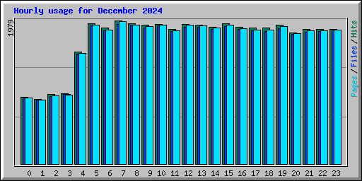 Hourly usage for December 2024