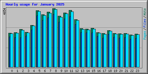 Hourly usage for January 2025