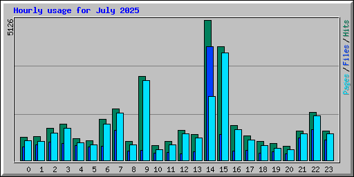 Hourly usage for July 2025
